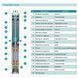 Насос свердловинний SHIMGE 3SG(m) 1.8/33-1.1 кВт, Н 142(109)м, Q 45(30)л/хв, &Oslash;75 мм, (кабель 3 м) 1040649 фото 2